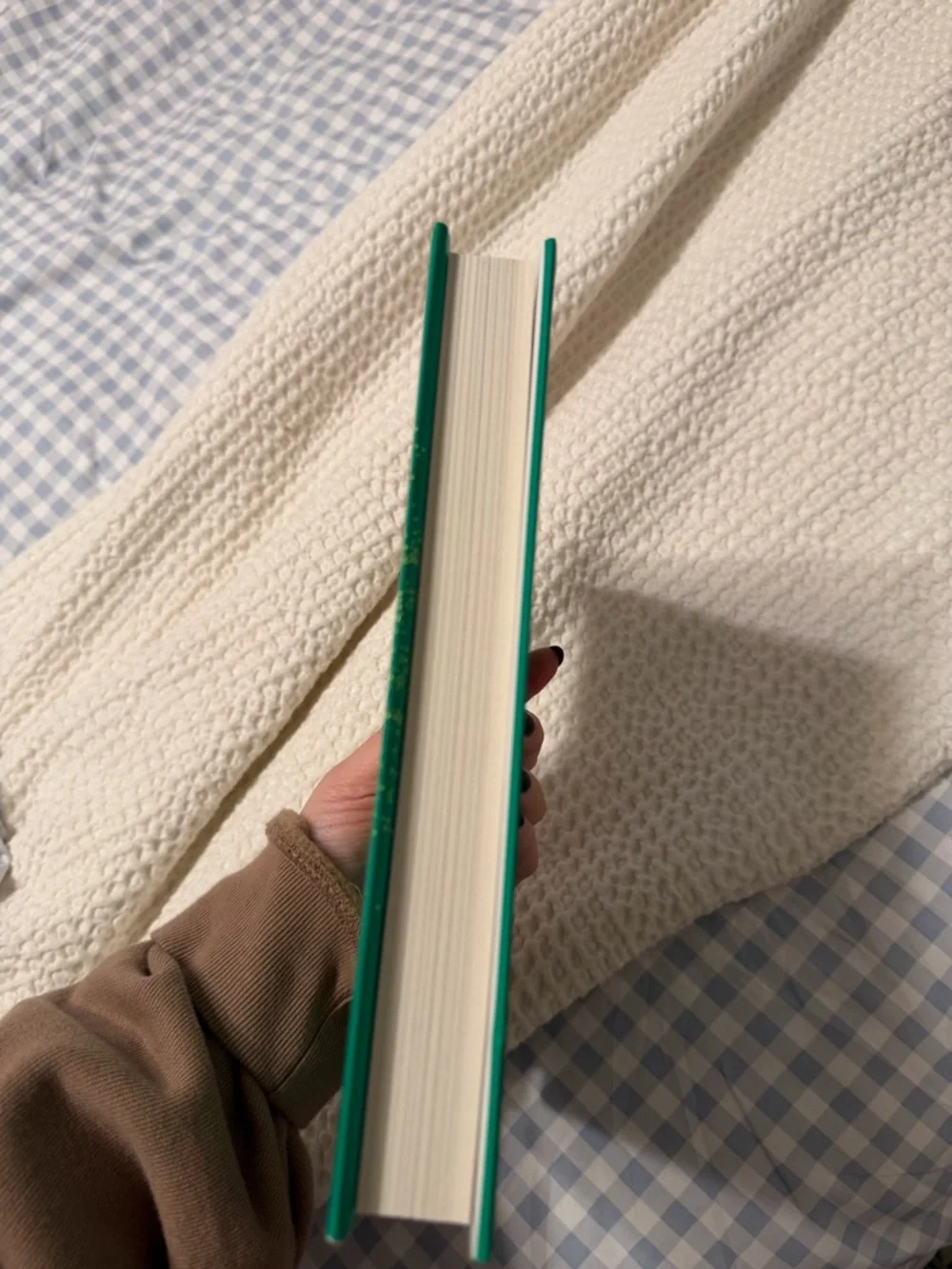 The Let Them Theory by Mel Robbins - Teal Paperback - Picture 5 of 7